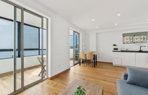 resale-penthouse-top-floor-torrevieja-cabo-cervera_141249_xl