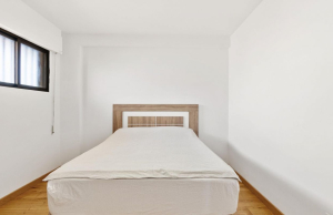 resale-penthouse-top-floor-torrevieja-cabo-cervera_141256_xl