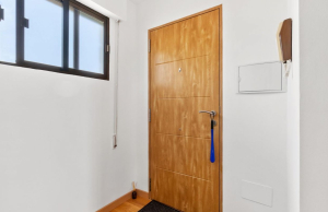 resale-penthouse-top-floor-torrevieja-cabo-cervera_141259_xl