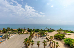 resale-penthouse-top-floor-torrevieja-cabo-cervera_141264_xl