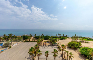 resale-penthouse-top-floor-torrevieja-cabo-cervera_141268_xl