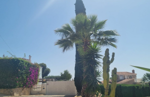 resale-villa-rojales-ciudad-quesada_492088_xl