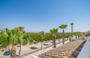 sale-bungalow-algorfa_223147_xl