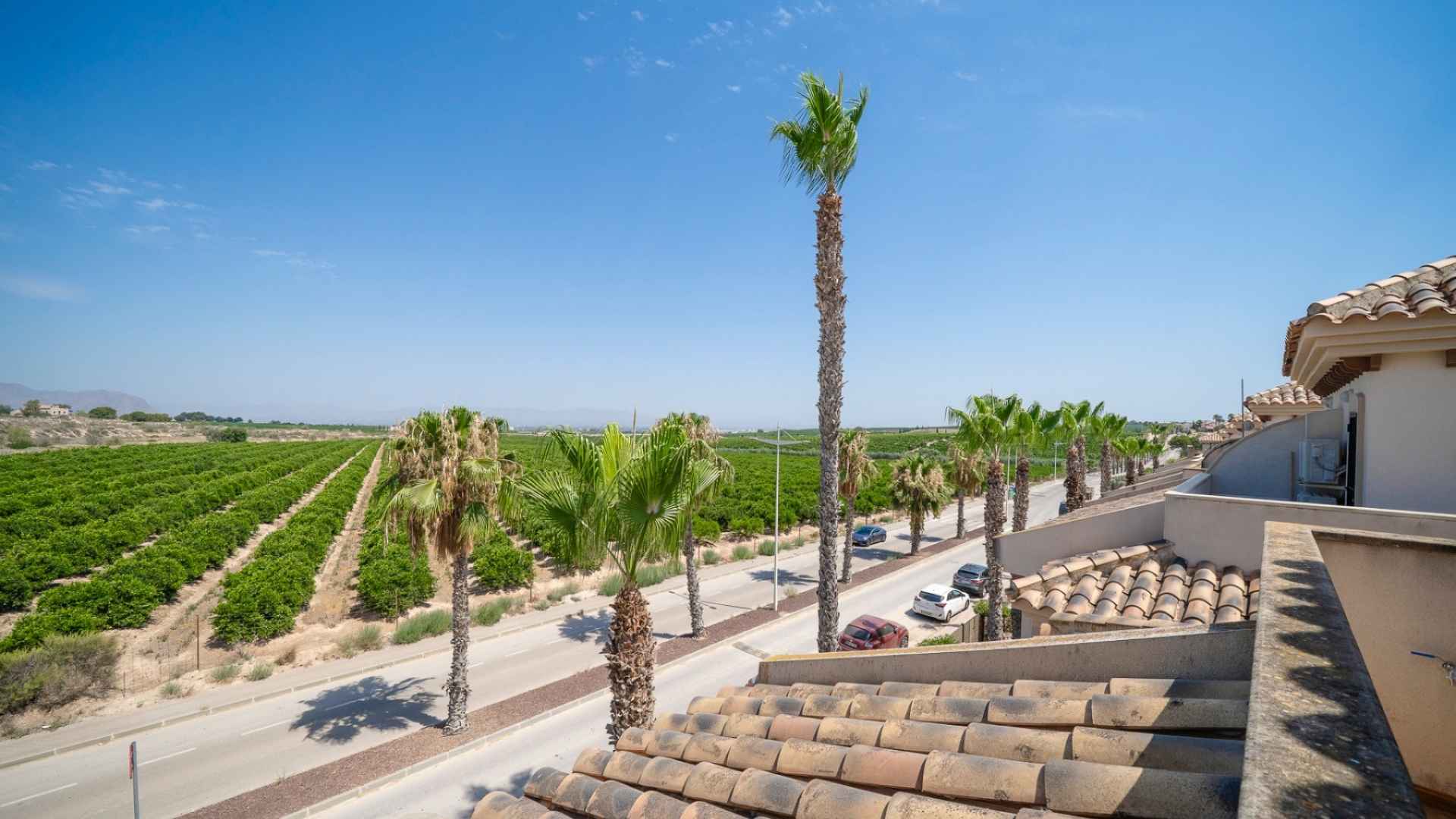 sale-bungalow-algorfa_223238_xl