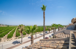 sale-bungalow-algorfa_223238_xl