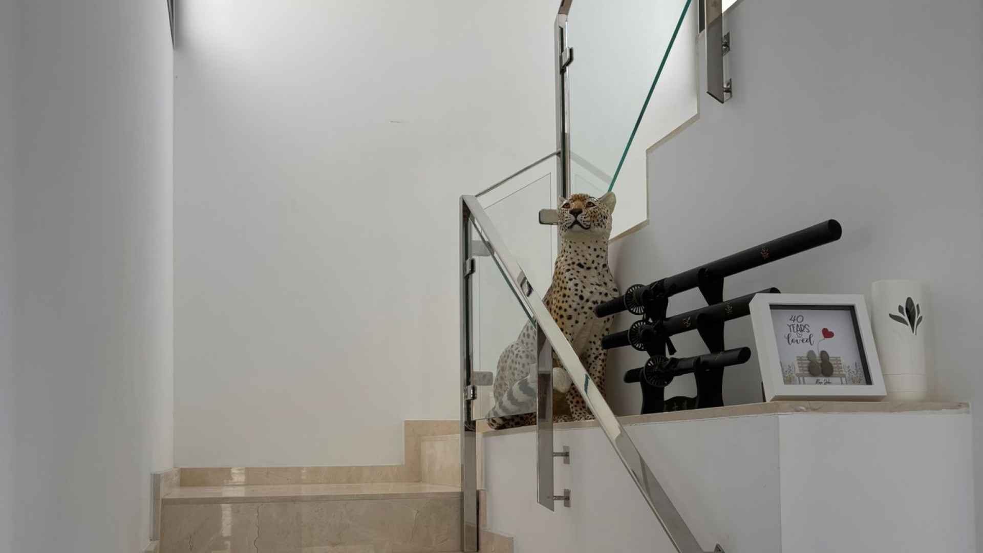 IMG-20250710-WA0020