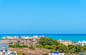 sale-villa-guardamar-del-segura_226095_lg