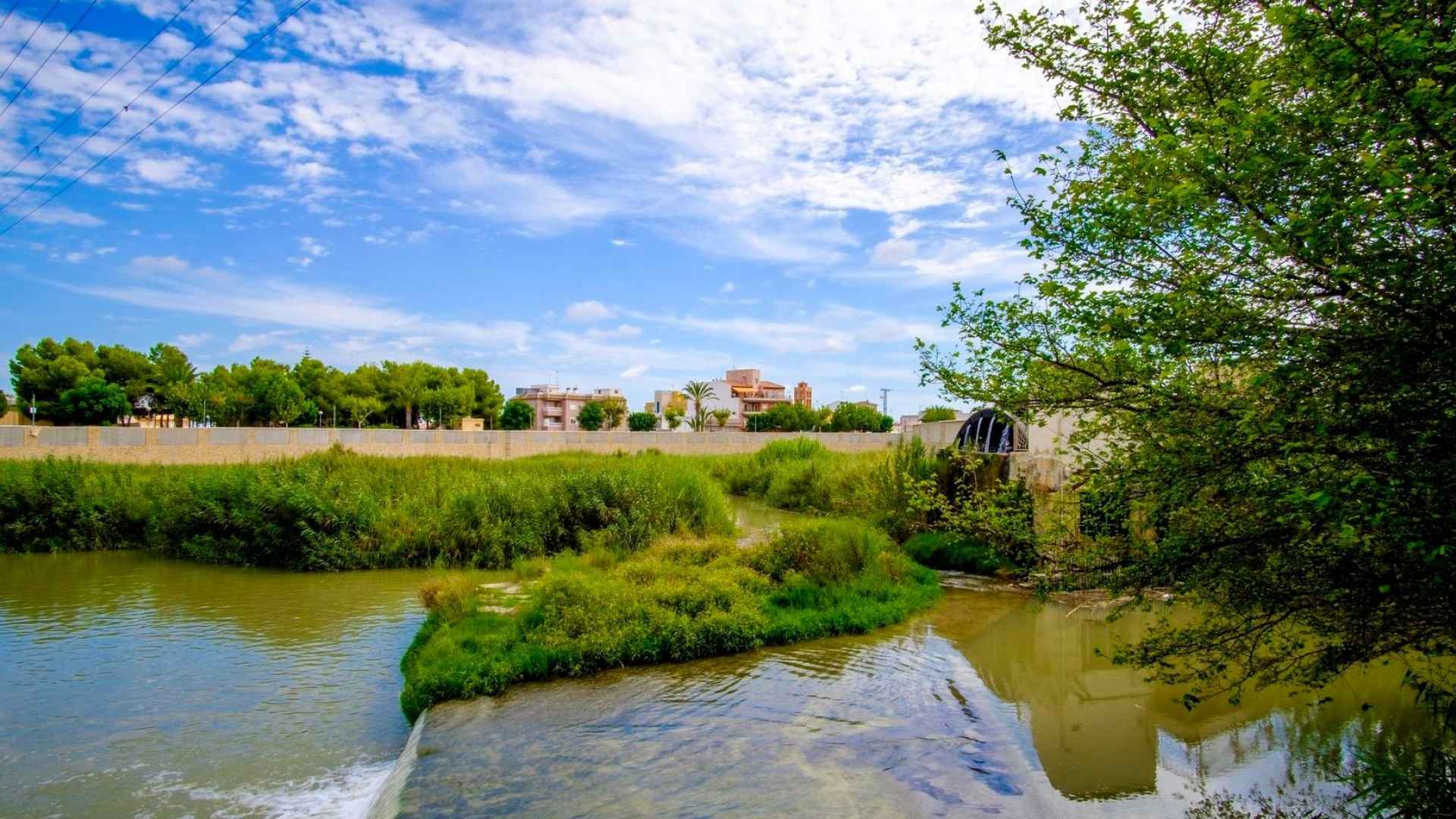 sale-apartment-flat-formentera-del-segura_335390_xl