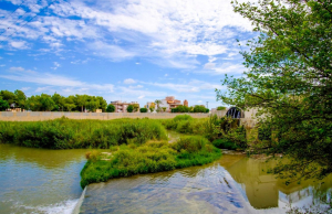 sale-apartment-flat-formentera-del-segura_335390_xl