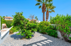 sale-town-house-orihuela-costa-los-dolses_228305_lg