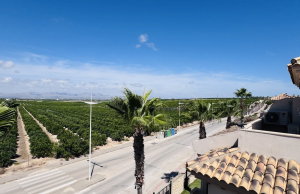 re-sale-semi-detached-villa-algorfa_76427_xl