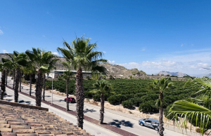 re-sale-semi-detached-villa-algorfa_76428_xl