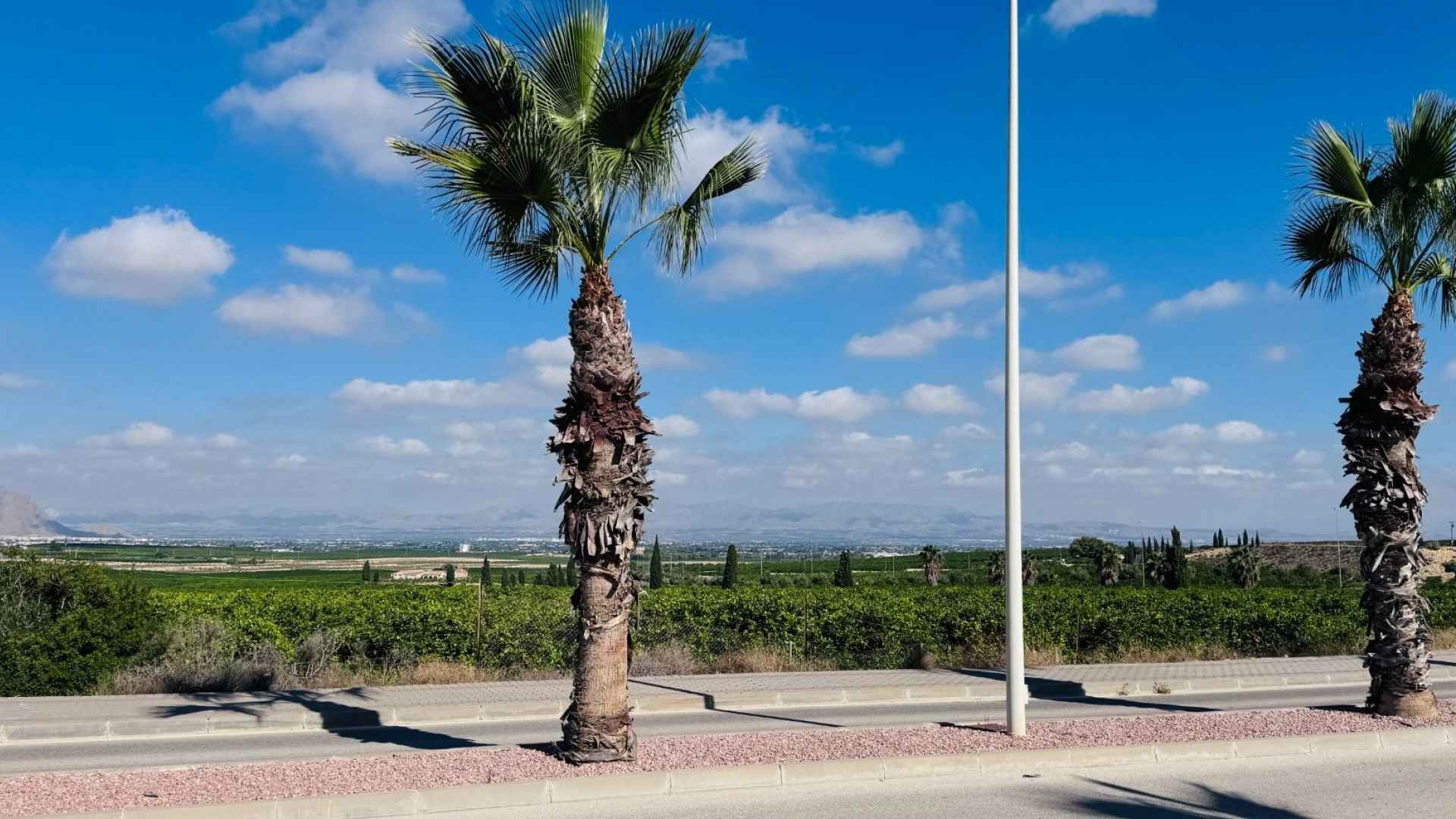 re-sale-apartment-algorfa_77063_xl