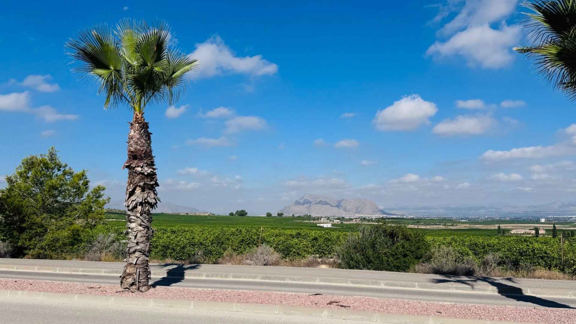 re-sale-apartment-algorfa_77064_xl