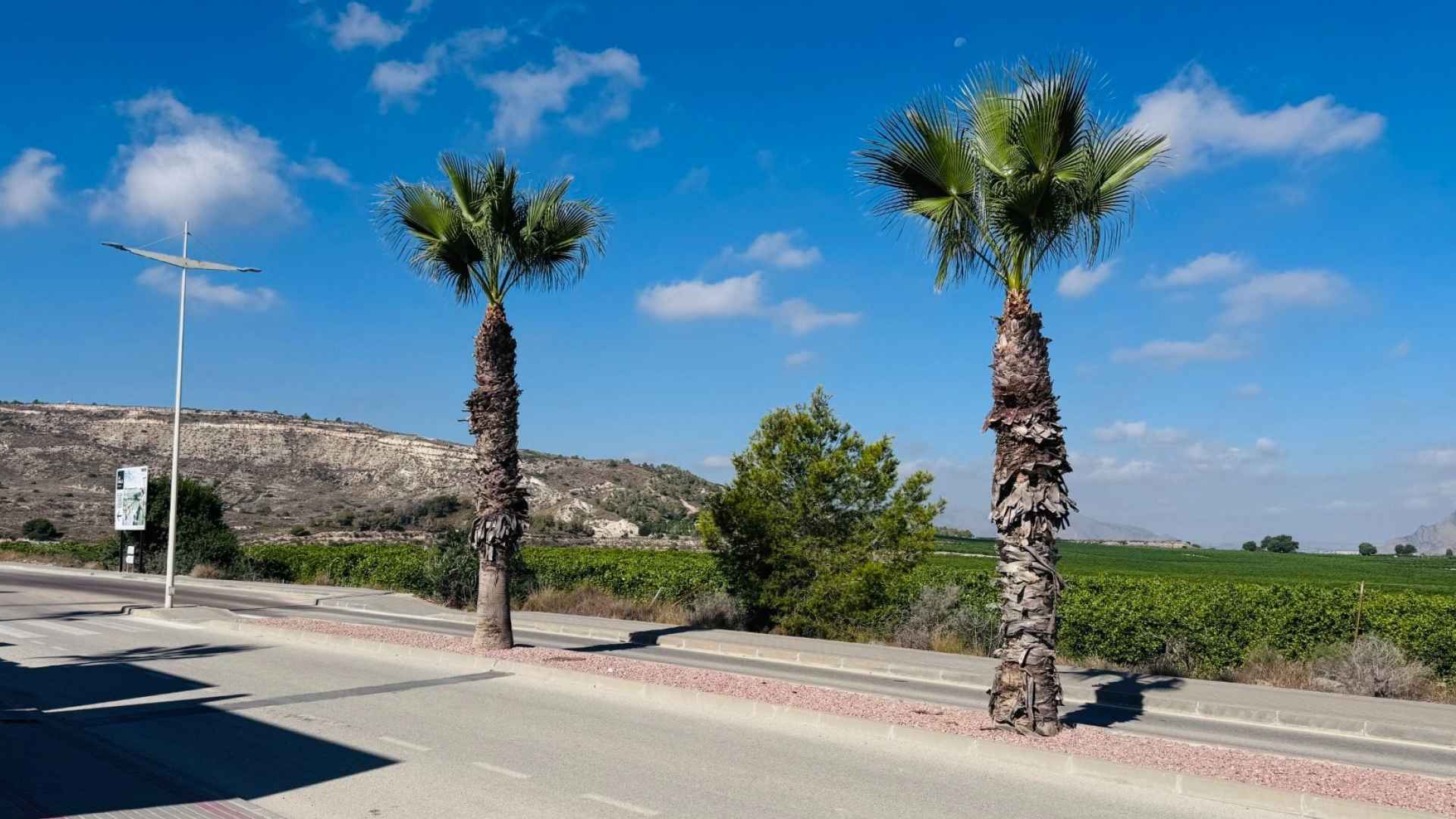 re-sale-apartment-algorfa_77065_xl