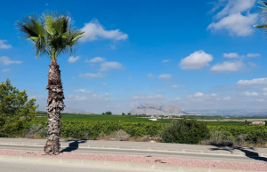 re-sale-apartment-algorfa_77064_xl