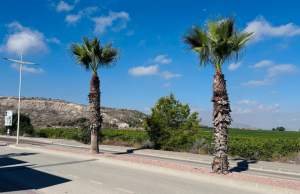 re-sale-apartment-algorfa_77065_xl