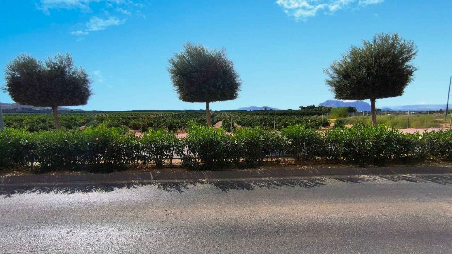 re-sale-apartment-algorfa_78780_xl