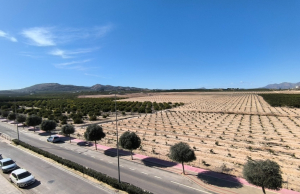 re-sale-apartment-algorfa_78785_xl