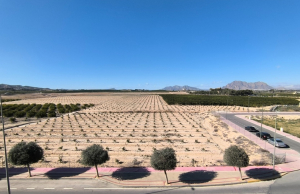 re-sale-apartment-algorfa_78786_xl