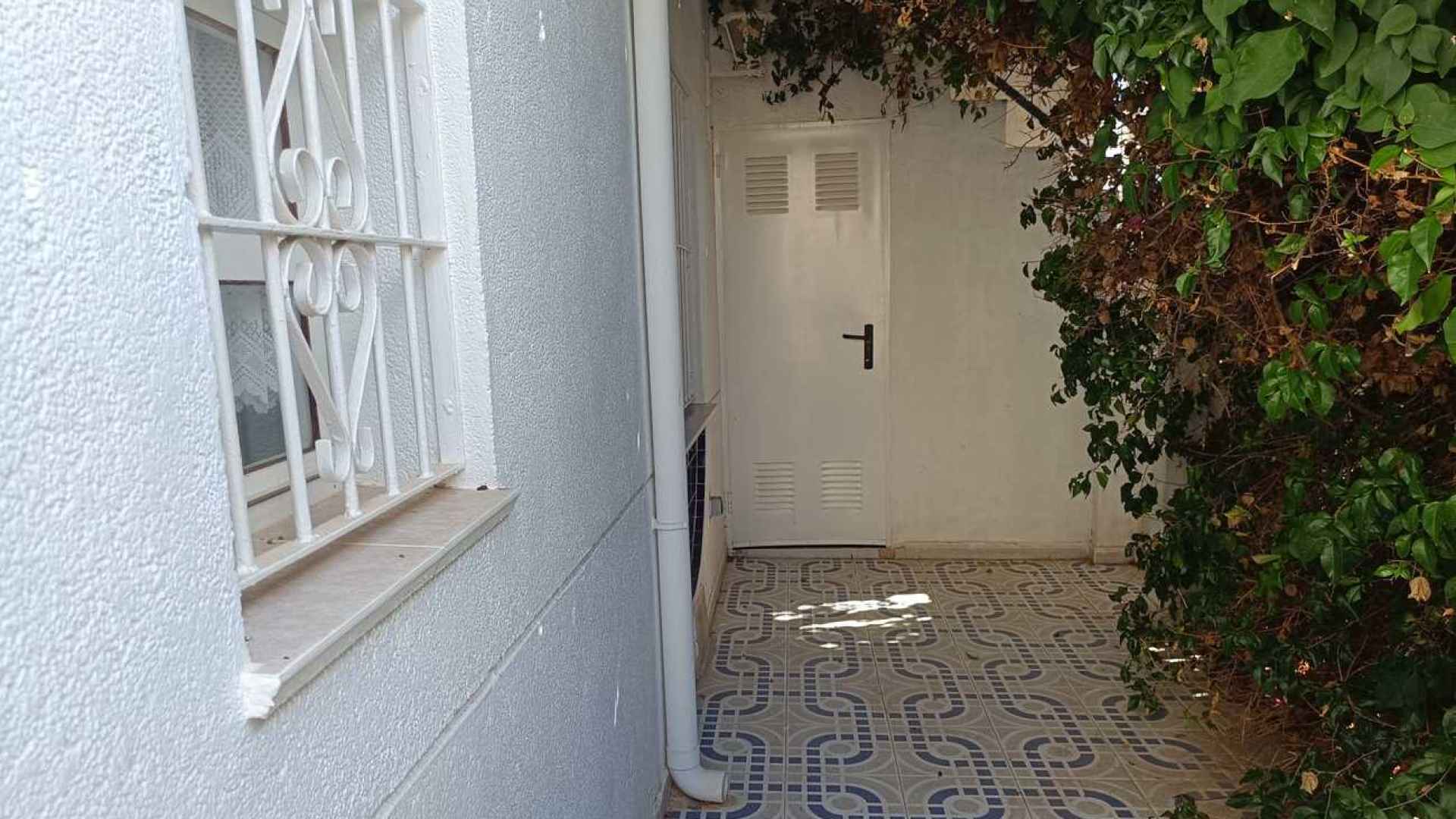 town-house-torrevieja-nwd6033-29