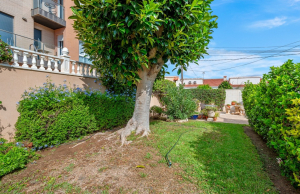 sale-semi-detached-orihuela-costa-punta-prima_237060_lg