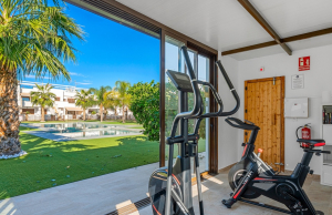 sale-penthouse-torre-de-la-horadada-alicante-spain_241699_xl