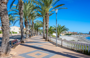 sale-penthouse-torre-de-la-horadada-alicante-spain_241734_xl