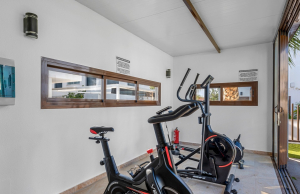 sale-penthouse-torre-de-la-horadada-alicante-spain_241739_xl (1)