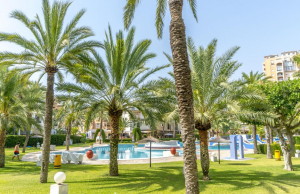 resale-penthouse-duplex-torrevieja-playa-de-los-locos_164749_xl