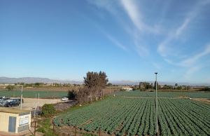 041fb1a0-d980-4ed9-877d-854ff9adef3d