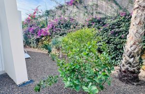 re-sale-detached-villa-algorfa_83337_xl