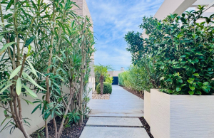 re-sale-detached-villa-algorfa_83341_xl