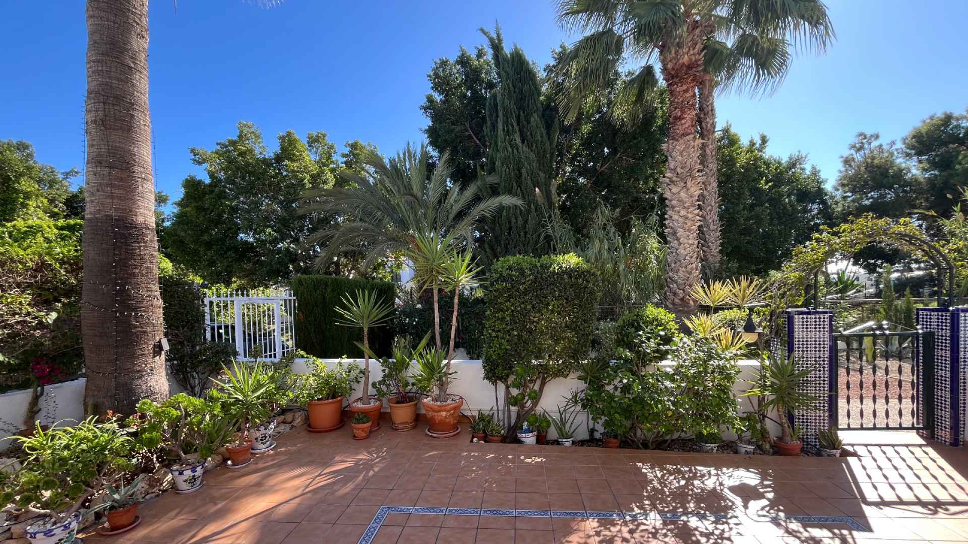 d6915ce85c0c4e6915ce85c0c8c