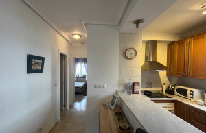 d6915ce75209fc6915ce7520a3a