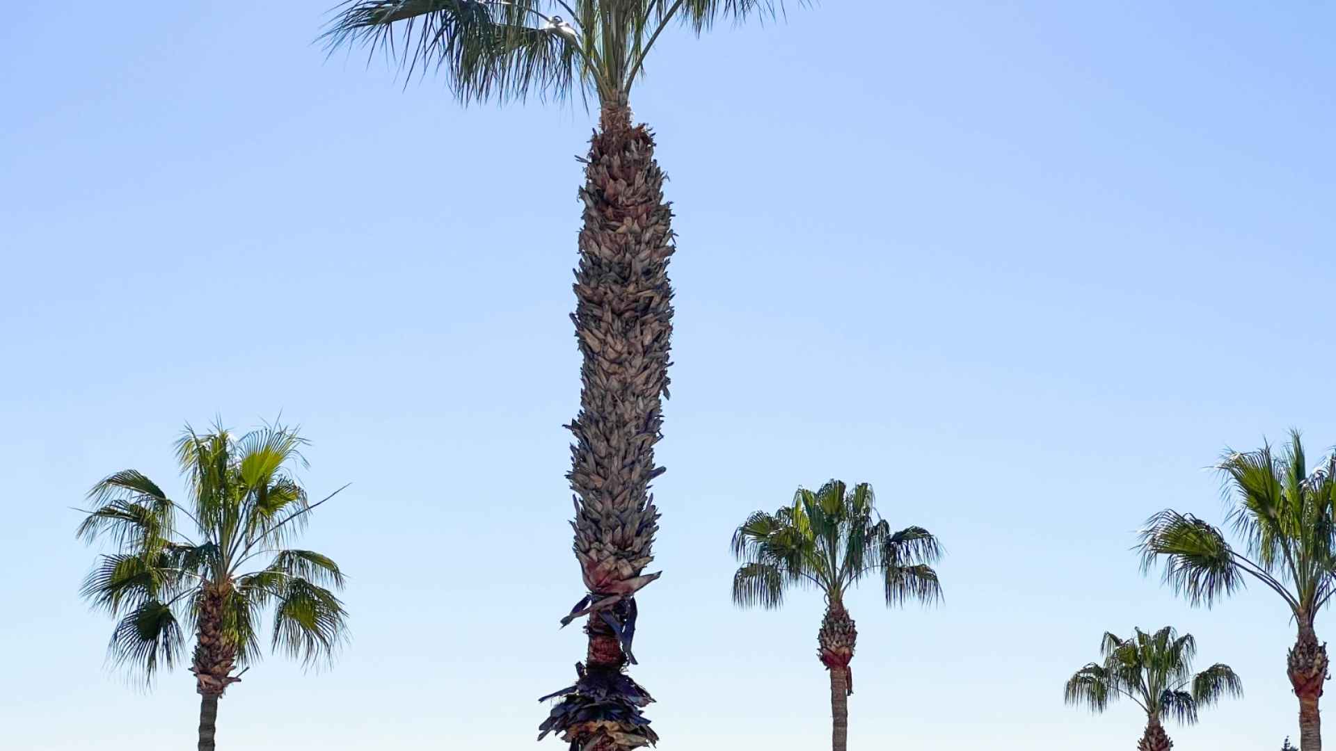 o_1gs4cs7log5d1ai319te11jrj2e3f