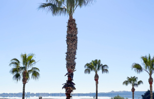 o_1gs4cs7log5d1ai319te11jrj2e3f