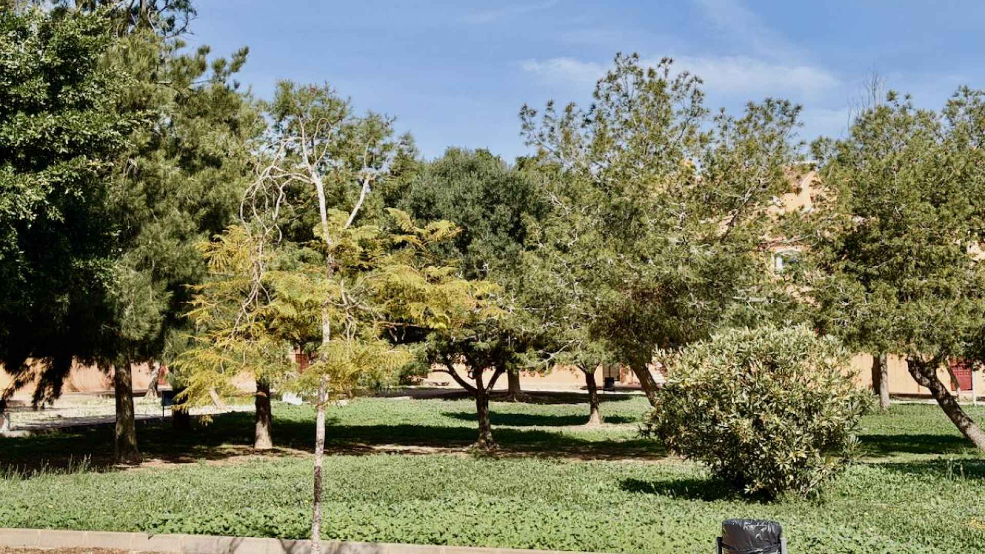 11880956_xl