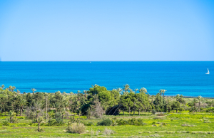 200-4608, Two Bedroom Penthouse Apartment In Punta Prima.