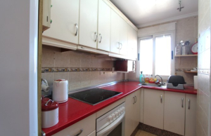 medium_28_apartment_jacarilla_140123175638_img_1344