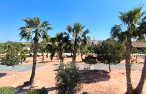re-sale-semi-detached-villa-algorfa_102910_xl
