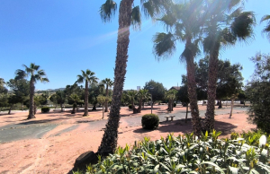 re-sale-semi-detached-villa-algorfa_102915_xl