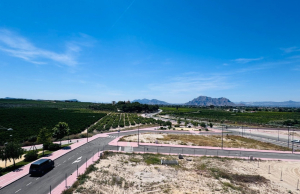 re-sale-apartment-algorfa_109743_xl