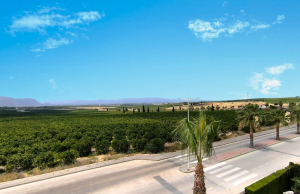 re-sale-apartment-algorfa_112666_xl