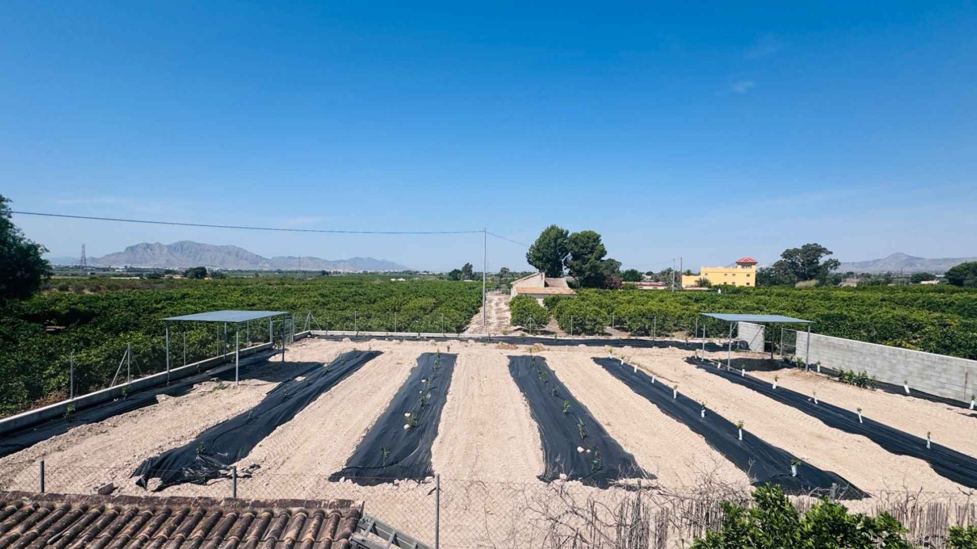 re-sale-finca-albatera_111476_xl