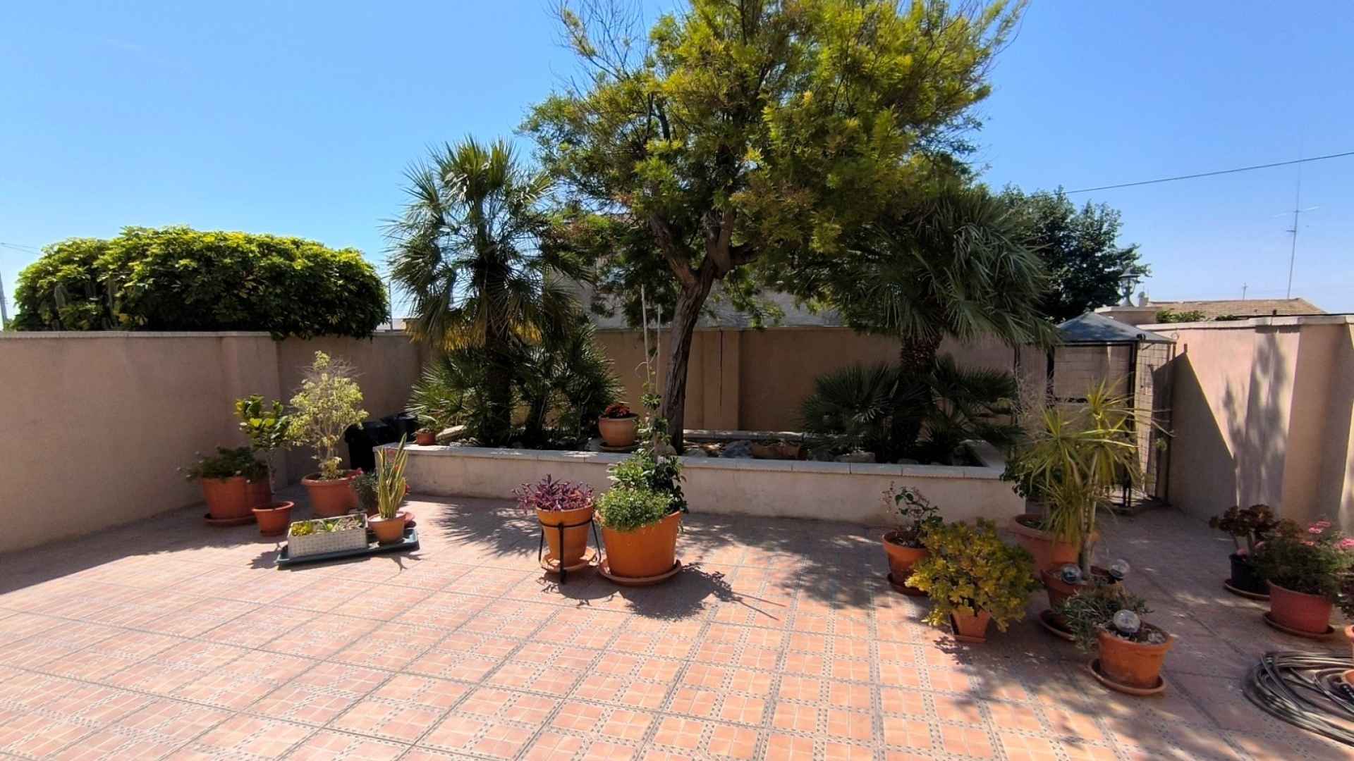re-sale-finca-albatera_111496_xl
