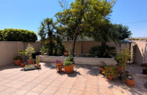 re-sale-finca-albatera_111496_xl