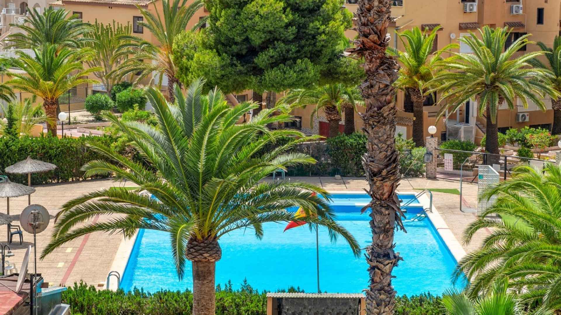 sale-apartment-torrevieja-torrevieja-aguas-nuevas_582254_lg