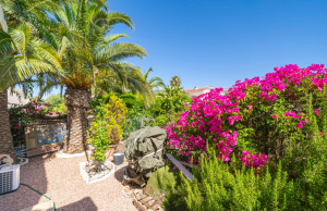 sale-villa-ciudad-quesada-rojales-rojales_582949_xl
