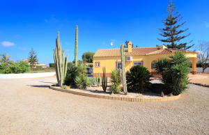 49488_charming_3_bedroom_finca_style_home_on_the_outskirts_of_dolores_160426151417_img_5358